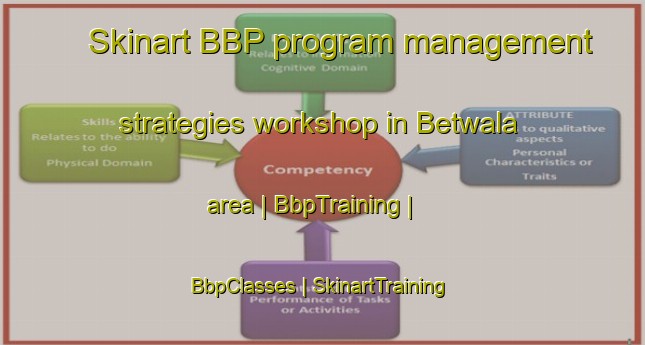 Skinart BBP program management strategies workshop in Betwala area | BbpTraining | BbpClasses | SkinartTraining-Pakistan
